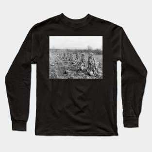 Harvest Season, 1906. Vintage Photo Long Sleeve T-Shirt